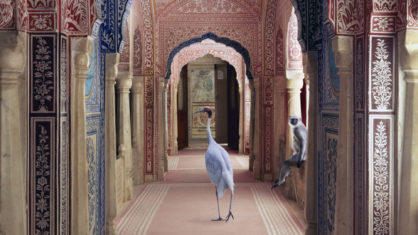 17 Stunning Photographs by Karen Knorr which Give an Ode to India