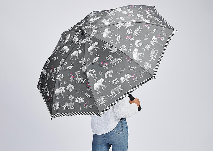 Drenched in Luxury: Navigating through the nuances between the premium umbrellas and the local umbrellas